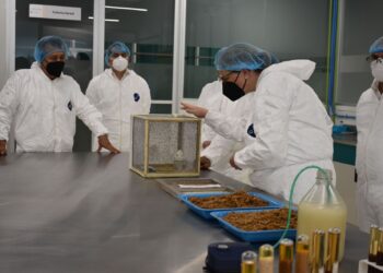 Supervisan México y Estados Unidos trabajos de nueva Planta Moscamed en Chiapas