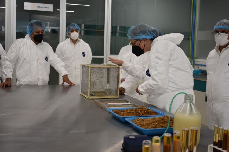 Supervisan México y Estados Unidos trabajos de nueva Planta Moscamed en Chiapas