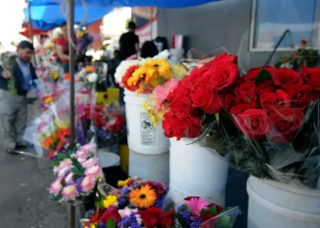 Festejo del Día de la Madre dejará derrama económica 30% superior a  2019: Concanaco