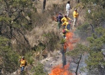 Vivos seis incendios forestales en Villa de Casas, Jaumave y Tula, Tamaulipas