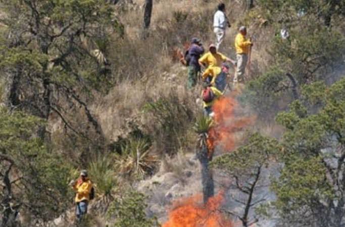 Vivos seis incendios forestales en Villa de Casas, Jaumave y Tula, Tamaulipas