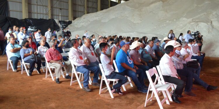 Arriban a Tampico embarques de sulfato de amonio y cae 30% precio del fertilizante