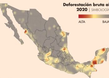 Deforestación, otra causa para que las sequías se agudicen