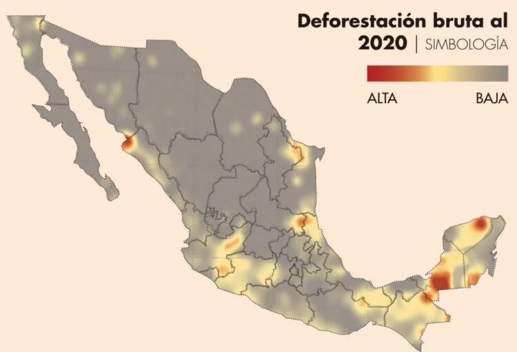 Deforestación, otra causa para que las sequías se agudicen