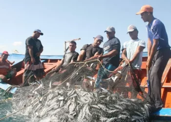 Arranca éste 17 de junio entrega de apoyos Bienpesca a pescadores de Tamaulipas