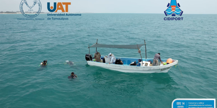 Descubre la UAT sistema arrecifal en costas de Tampico, Tamaulipas