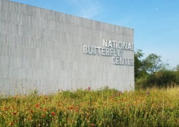 Resuelven litigio de muro privado construido durante gobierno de Trump.