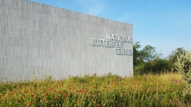 Resuelven litigio de muro privado construido durante gobierno de Trump.