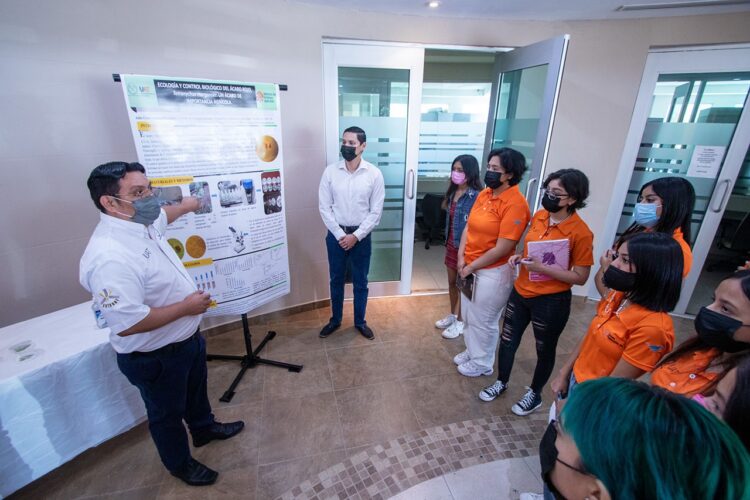 Difunde UAT avances de investigaciones en entomología