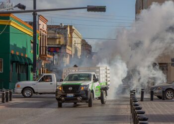 Activa Gobierno de Matamoros intensa campaña de fumigación