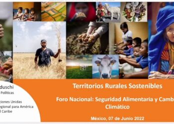 Fortalecer a las comunidades rurales, esencial para combatir el cambio climático