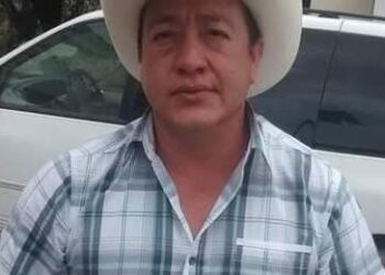 Alcanza tonelada de sorgo los 7 mil pesos en norte de Tamaulipas