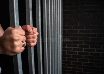 Detienen a funcionaria del DIF Tamaulipas y a su esposo