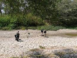 Identifican el cráneo encontrado en el parque acuático en Culiacán