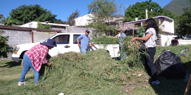 Limpiando espacios para hacer deporte