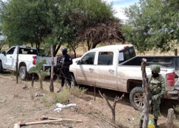 Ejército y Guardia Nacional detienen a 11 criminales con drogas y armas en Zacatecas
