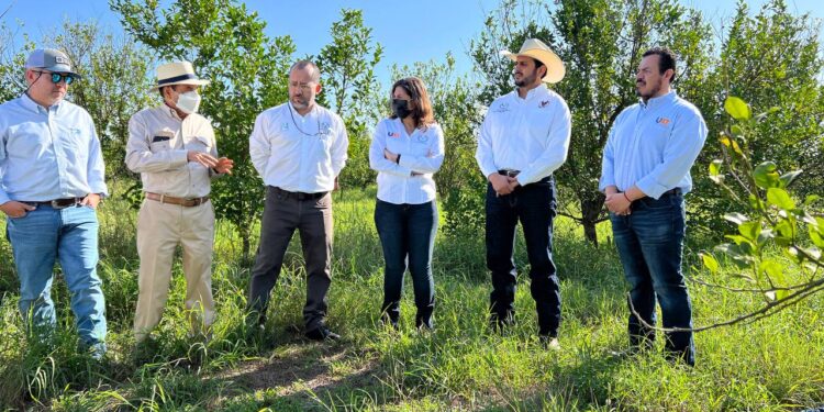 Fortalece la UAT su vinculación con productores citrícolas de Tamaulipas