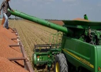 Buenas cosechas de Tamaulipas, esfuerzo de agricultores; gobierno saluda con sombrero ajeno