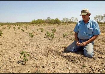 Conagua publica inicio de emergencia por sequía en 70 % de México