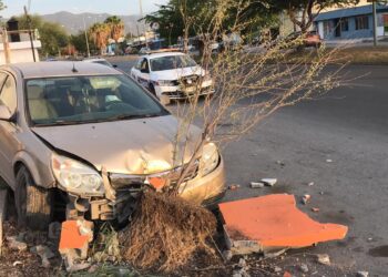 Estrella su automóvil en jardinera de la Avenida Rotaria