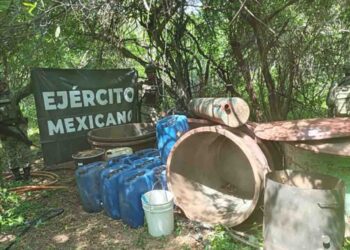 Fuerzas Armadas decomisaron precursores de drogas por 139.6 mil mdp