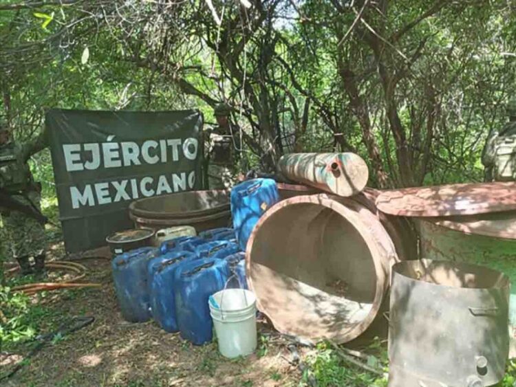 Fuerzas Armadas decomisaron precursores de drogas por 139.6 mil mdp