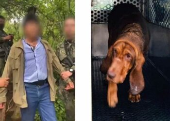 ‘Max’ el sabueso de la Semar que ‘detuvo’ a Rafael Caro Quintero