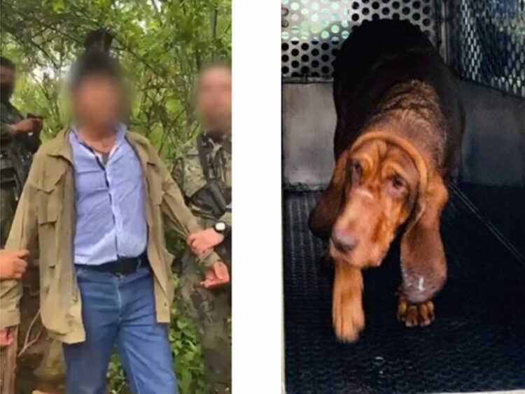 ‘Max’ el sabueso de la Semar que ‘detuvo’ a Rafael Caro Quintero