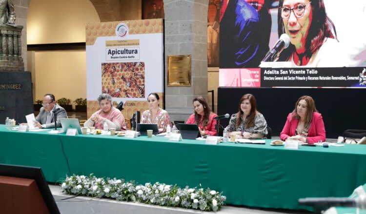 Senado refrenda compromiso para aprobar una Ley de Apicultura que impulse al sector