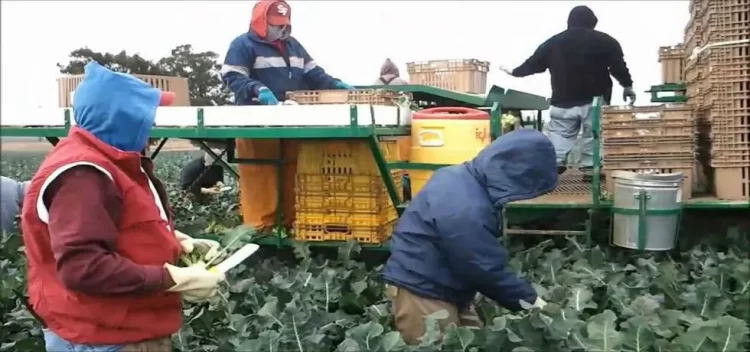 El trabajo de los migrantes en Estados Unidos genera 2.7 billones de dólares al año