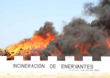 FGR incinera más de 13 toneladas de droga en Tamaulipas