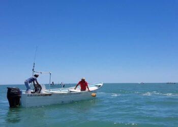 Publica Agricultura actualización de la Carta Nacional Pesquera