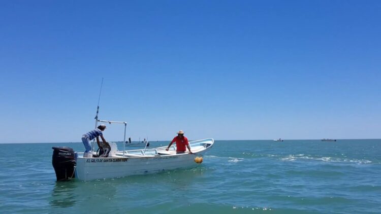 Publica Agricultura actualización de la Carta Nacional Pesquera
