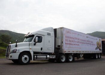 Inicia exportación de aguacate Hass de Jalisco a Estados Unidos