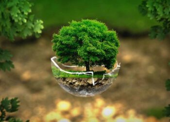 ONU eleva derecho al medio ambiente sano como nuevo derecho humano universal