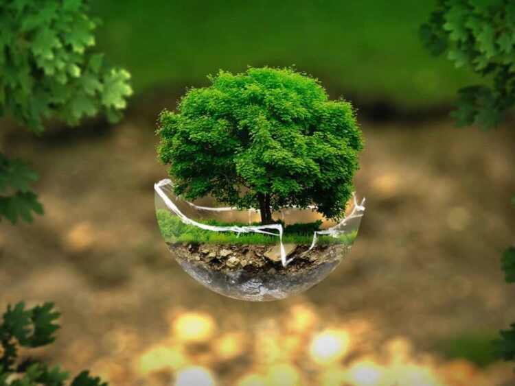 ONU eleva derecho al medio ambiente sano como nuevo derecho humano universal