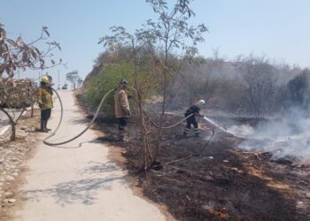 Incendios de pastizales son “plaga” en verano