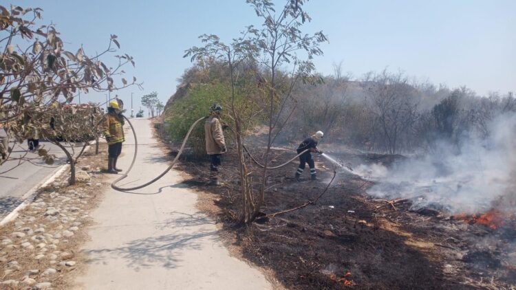 Incendios de pastizales son “plaga” en verano