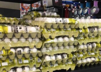 Inflación sigue galopante