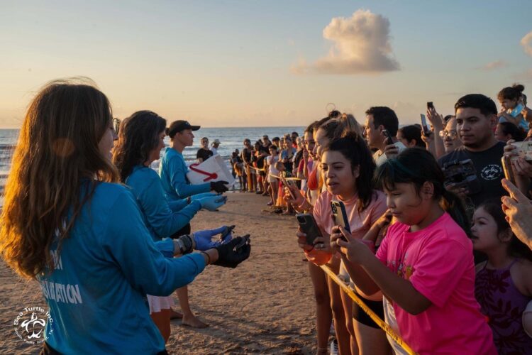 Liberan a cientos de tortugas en la Isla del Padre