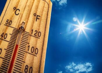 Alertan sobre temperaturas de hasta 44 °C en Tamaulipas por canícula