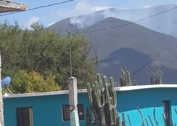 Surge incendio forestal en la sierra de Miquihuana-Bustamante
