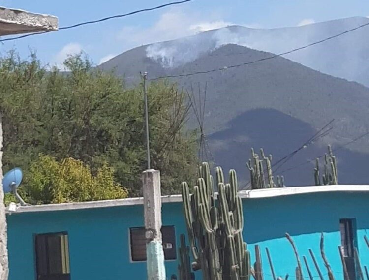 Surge incendio forestal en la sierra de Miquihuana-Bustamante