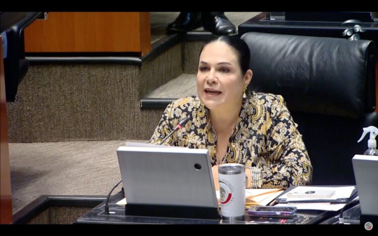 Denuncia bancada de Morena en Senado reformas ilícitas del PAN y Cabeza de Vaca