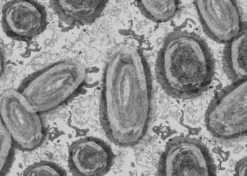 Reportan primer caso de viruela del mono en Nuevo León