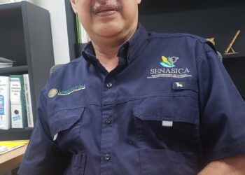 Demanda Sanidad Vegetal a los chileros a contribuir al control de plagas