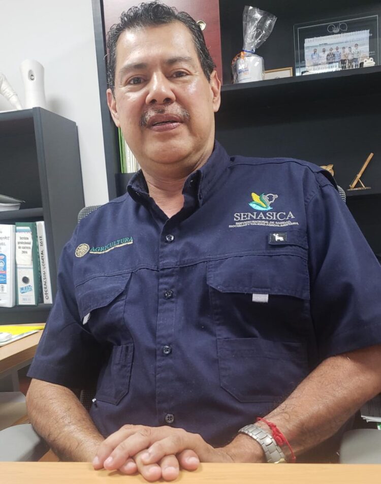 Demanda Sanidad Vegetal a los chileros a contribuir al control de plagas