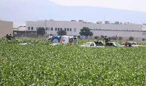 Avioneta de desploma en Querétaro