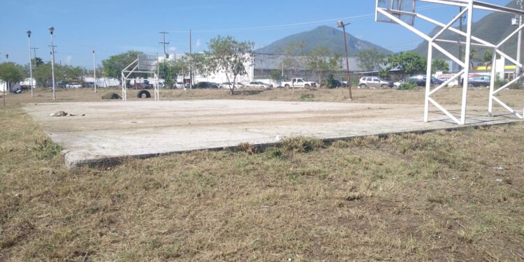 El deporte es prioridad para mi Gobierno: Gattás