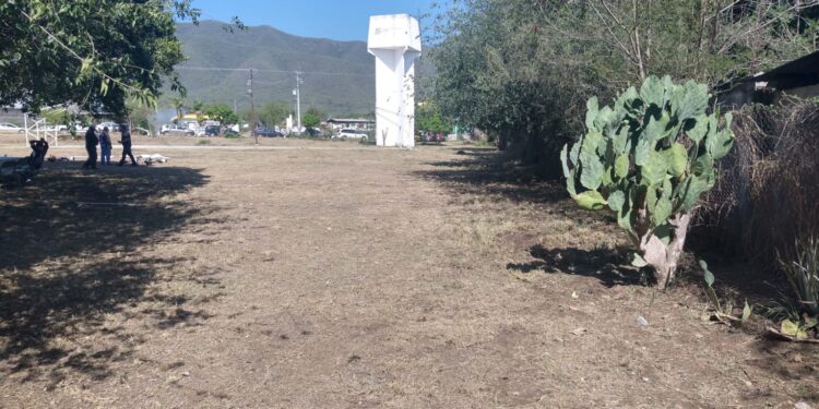 El deporte es prioridad para mi Gobierno: Gattás